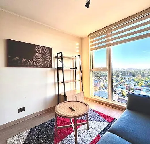 Centro Temuco 2